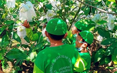 Rihlah Edukasi Kelas 3 SDIT Al Hasanah 1 ke Kebun Jambu