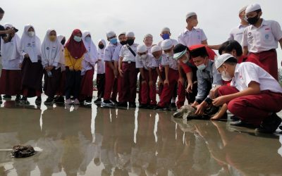 Rihlah Edukasi Kelas 6 SDIT Al Hasanah 1 ke Penangkaran Penyu